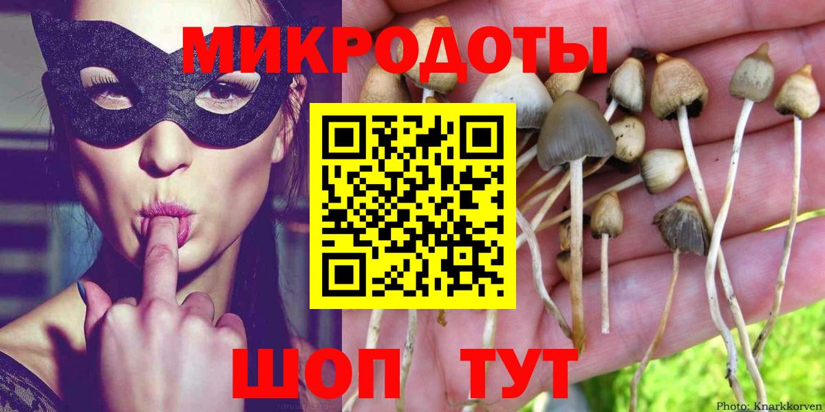 где найти   Вход с VPN  Дмитров  Псилоцибиновые грибы мухоморы 