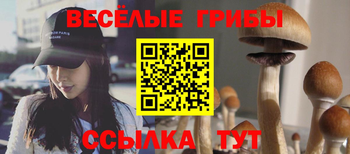 Галлюциногенные грибы мицелий Дмитров